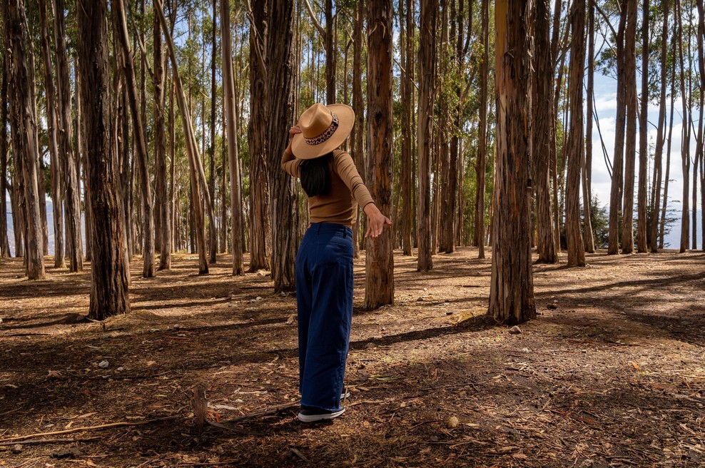 Za koga bo NOVEMBER še posebej čaroben? Astrologi napovedujejo srečo tem znamenjem (foto: Profimedia)