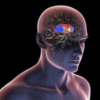 4 navade, ki najbolj uničujejo vaše možgane