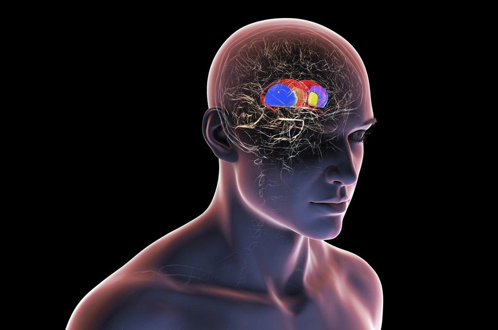 4 navade, ki najbolj uničujejo vaše možgane (foto: profimedia)