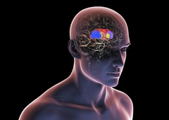 4 navade, ki najbolj uničujejo vaše možgane