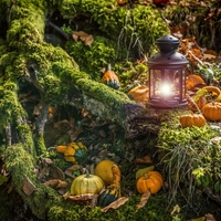 Tedenski horoskop od 3. do 9. novembra 2025