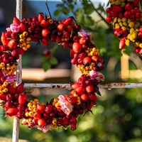 Dnevni horoskop za soboto, 15. novembra 2025