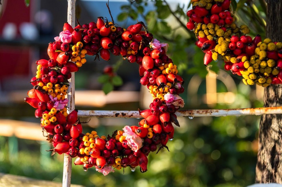 Dnevni horoskop za soboto, 15. novembra 2025 (foto: profimedia)