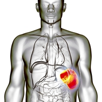 Ta organ v vašem telesu najbolj trpi, ko vas preveč skrbi