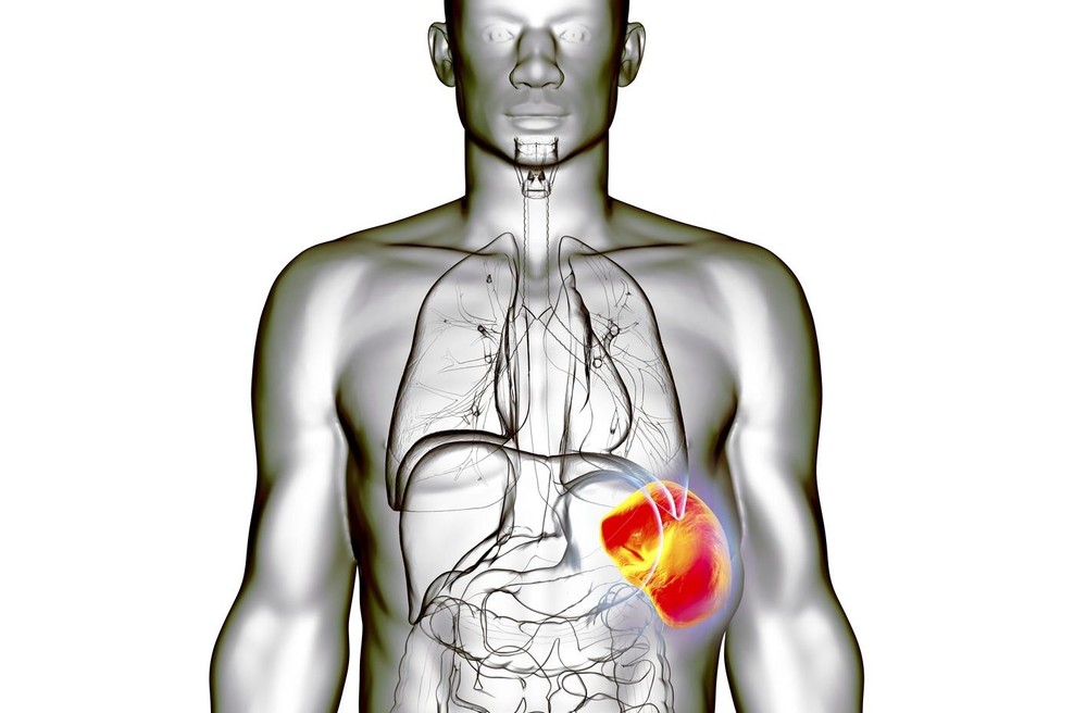 Ta organ v vašem telesu najbolj trpi, ko vas preveč skrbi (foto: profimedia)