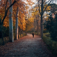 Numerologinja: "November je tistim, ki krivdo iščejo zunaj sebe, ponudil vrsto neizprosnih ogledal."