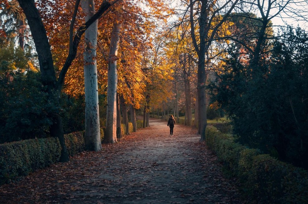 Numerologinja: "November je tistim, ki krivdo iščejo zunaj sebe, ponudil vrsto neizprosnih ogledal." (foto: profimedia)