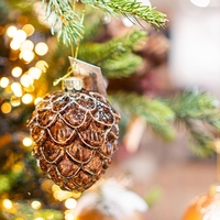 Veste, katera barva letos zaznamuje božični čas? Nosi poseben pomen!