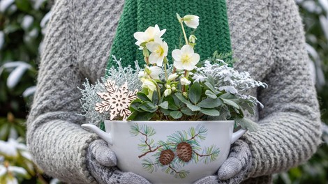 3 razlogi, zakaj vedno znova privlačimo ISTE TEŽAVE