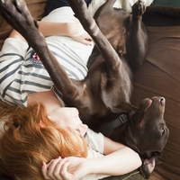 Veterinar razkril, katere pasme psov se obnašajo kot ljudje