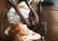 Veterinar razkril, katere pasme psov se obnašajo kot ljudje