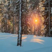 Pred nami je star PRAZNIK SVETLOBE - lucijino