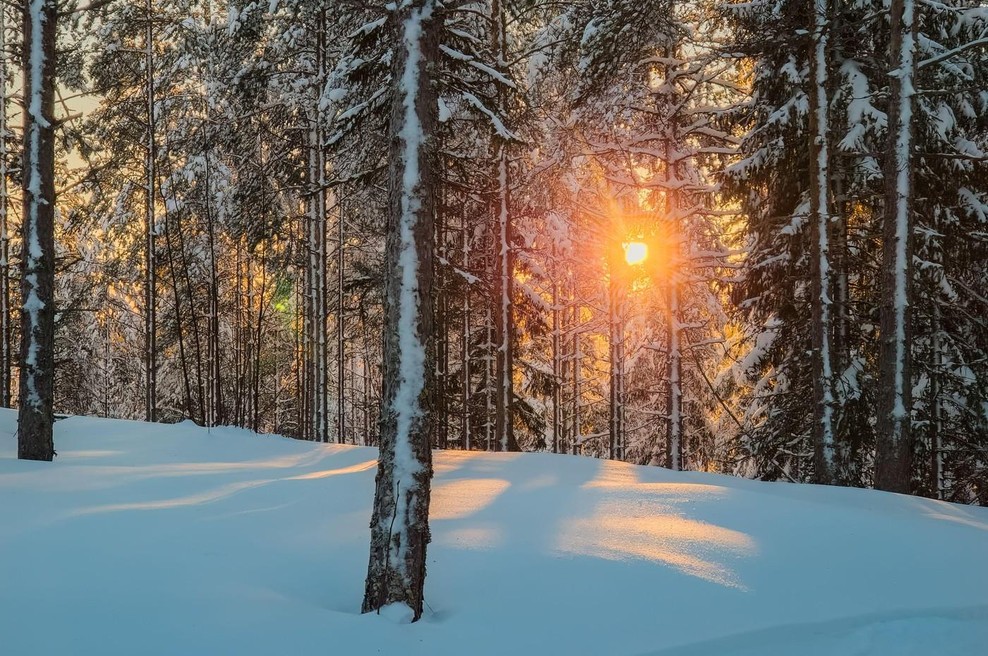 Pred nami je star PRAZNIK SVETLOBE - lucijino (foto: profimedia)