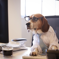 Veterinar razkriva: "To so pasme psov, ki se obnašajo podobno kot ljudje"