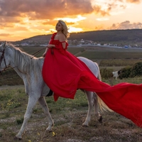 Prihaja leto ognjenega konja 2026: kaj prinaša in kako ga lahko izkoristimo?