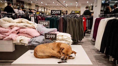 To, kar so dovolili v tej priljubljeni trgovini, je postalo simbol človečnosti