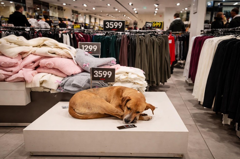 To, kar so dovolili v tej priljubljeni trgovini, je postalo simbol človečnosti (foto: Facebook Udruženje Hera / AI)