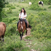 Umetnost ravnotežja skozi stik s konjem