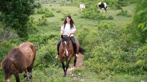 Umetnost ravnotežja skozi stik s konjem