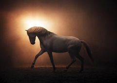 Kakšne energije prinaša leto v znamenju jang ognjenega konja?