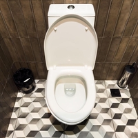 Kaj se zgodi, če ne zaprete pokrova straniščne školjke?