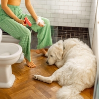 Zakaj vam pes sledi na stranišče? Ko odkrijete razlog, vam to početje ne bo več nadležno