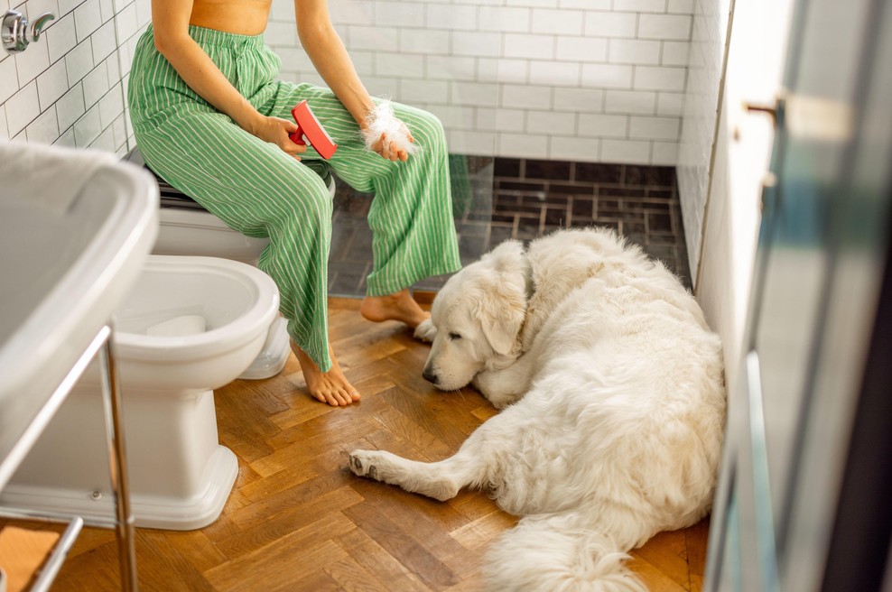 Zakaj vam pes sledi na stranišče? Ko odkrijete razlog, vam to početje ne bo več nadležno (foto: Profimedia)