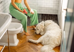 Zakaj vam pes sledi na stranišče? Ko odkrijete razlog, vam to početje ne bo več nadležno