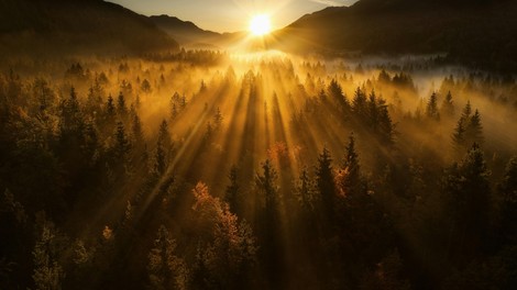 Naravna zdravilna moč: Pričevanja in strokovni vpogled dr. Doggendorf