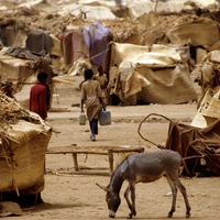 Sudan trpi, svet molči: Milijoni žrtev dvolične mednarodne skupnosti