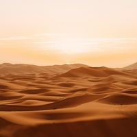 Poglejte, kaj so Kitajci naredili na robu puščave – rezultat bi lahko pomagal celotnemu planetu