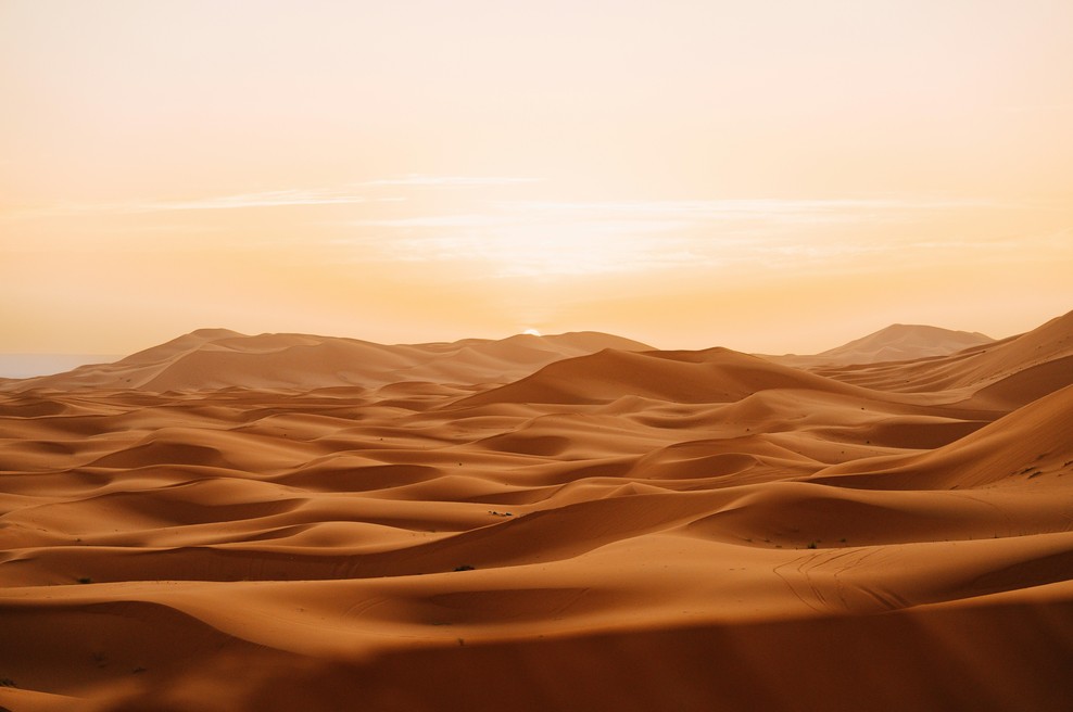 Poglejte, kaj so Kitajci naredili na robu puščave – rezultat bi lahko pomagal celotnemu planetu (foto: Unsplash)