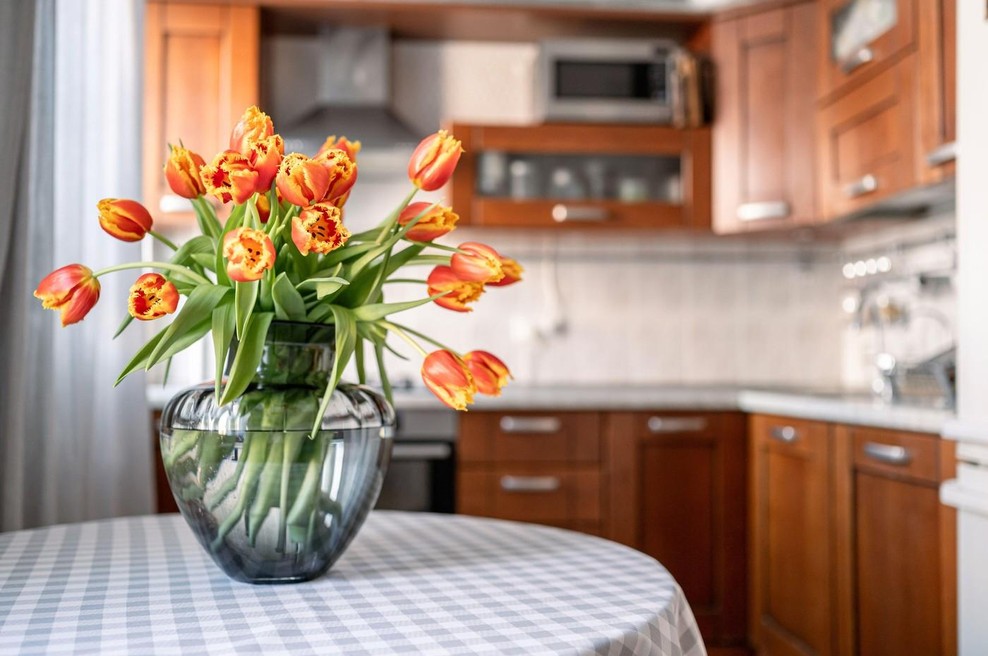 Tulipani so stoletja skrivali skrivnost – znanstveniki so jo zdaj končno razvozlali (foto: profimedia)