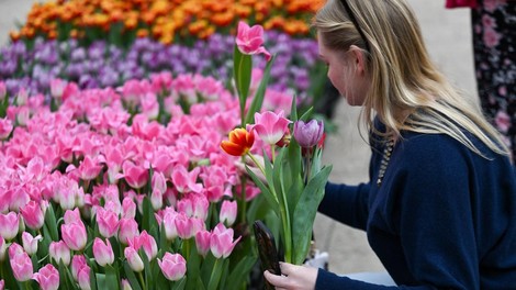 Dnevni horoskop za soboto, 28. marca 2026