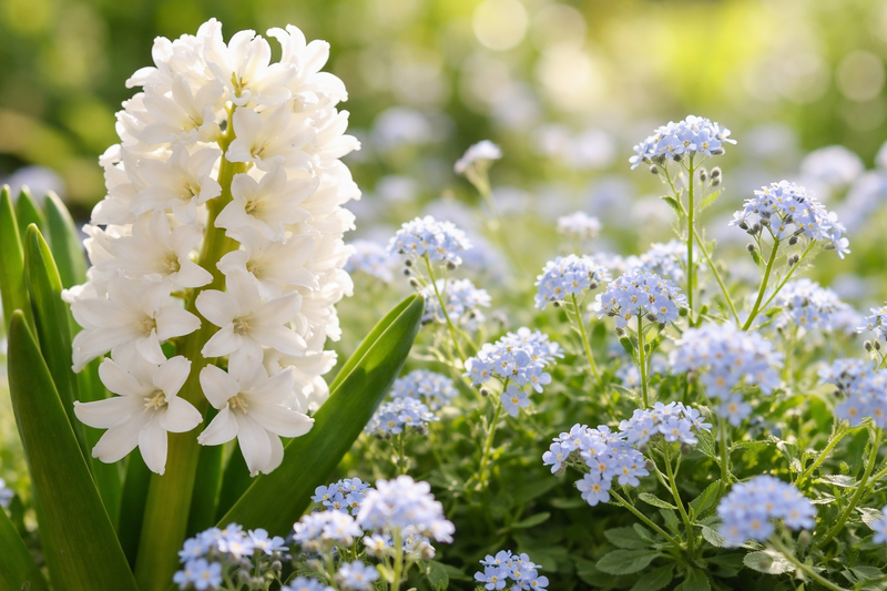 Bolgarski duhovni mojster Deunov: "Vsaka rastlina, vsak cvet, vsako drevo in vsaka barva nosijo določeno energijo."