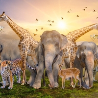 Brez njih bi človeštvo težko preživelo: 5 živali, ki za naš obstoj igrajo pomembno vlogo