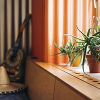 5 razlogov, zakaj je dobro imeti aloe vero doma (in zakaj ji pravijo rastlina življenja)