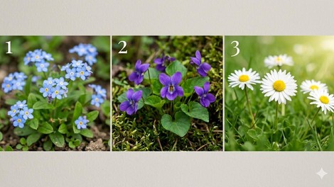 Izberi svojo spomladansko rožo in odkrij, kakšno sporočilo ti prinaša