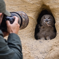 Naravovarstveni nadzornik opozarja: "Narava ni tu zaradi naših fotografij, mi smo tu gostje."