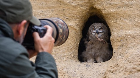 Naravovarstveni nadzornik opozarja: "Narava ni tu zaradi naših fotografij, mi smo tu gostje."