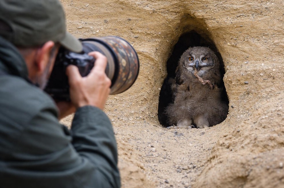 Naravovarstveni nadzornik opozarja: "Narava ni tu zaradi naših fotografij, mi smo tu gostje." (foto: profimedia / ai)