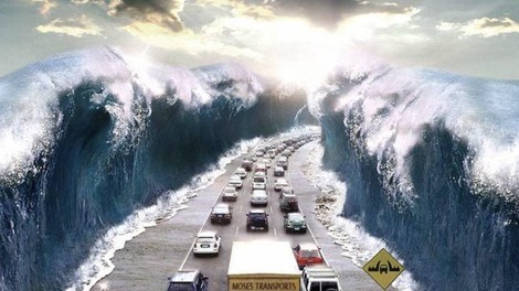 MODRI SANJAJO VES ČAS: Dr. Catherine Shainberg o moči podob