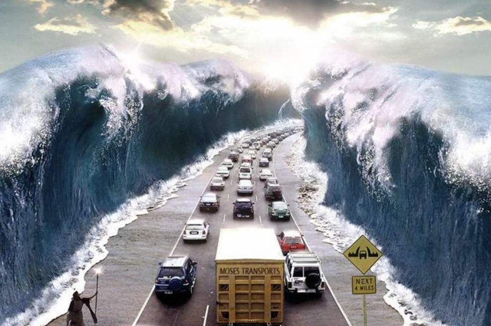 MODRI SANJAJO VES ČAS: Dr. Catherine Shainberg o moči podob