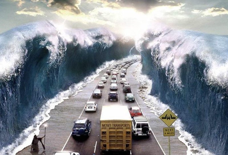 MODRI SANJAJO VES ČAS: Dr. Catherine Shainberg o moči podob