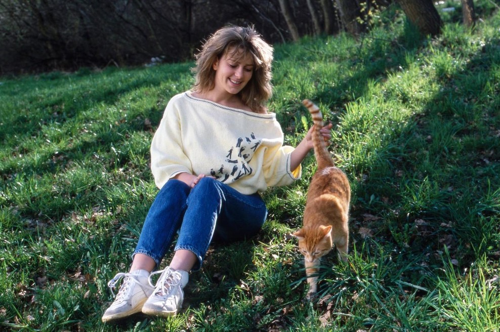 Preverite svoje možgane: Če se spomnite teh 10 stvari, vaš spomin še vedno deluje odlično (foto: profimedia)