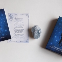 Povežite se z malimi bitji: Podprite projekt The Sacred Small