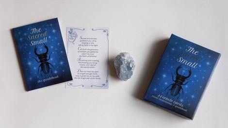 Povežite se z malimi bitji: Podprite projekt The Sacred Small