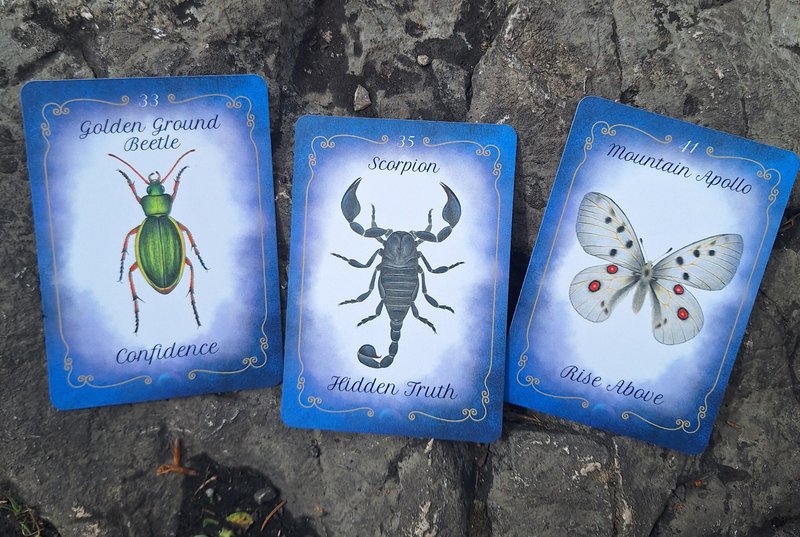 Povežite se z malimi bitji: Podprite projekt The Sacred Small