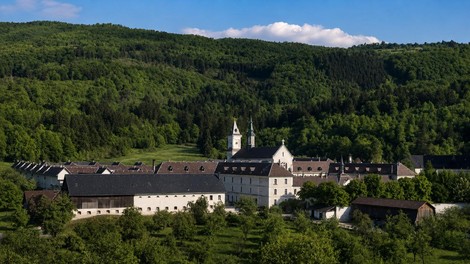 samostan kartuzija pleterje