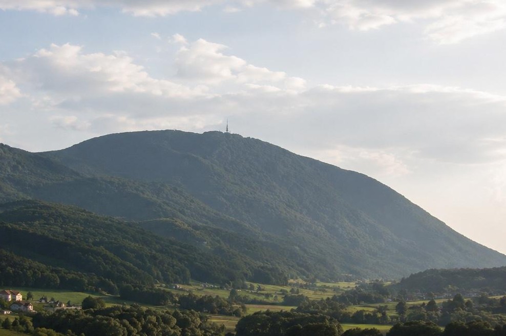 Zdravnik ji je napovedal le še mesec dni življenja, še isti dan je odkrila zdravilne točke na Boču (foto: AI)